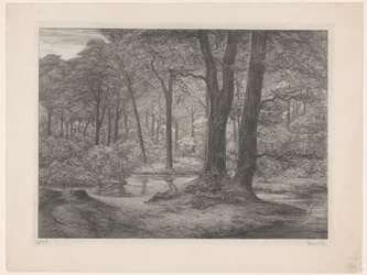 Bosc amb estany i home jacent Bosc de Teutoburg (vista del bosc) (títol original) acabat