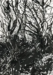 Ham Common Woods (muste ja grafiitti paperille)