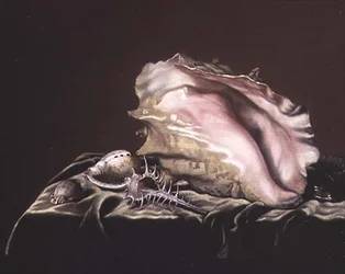 Shellsin asetelma