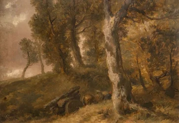 Puiden tutkimus, 1874.