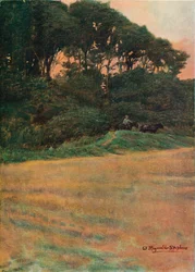 A Study, c1900 1903-1904