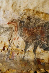 Yksityiskohta kaiverretusta hevosenpäiden maalauksesta, Lascaux.