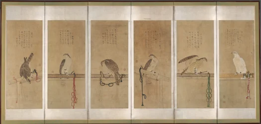 Tethered Hawks, ennen vuotta 1606.