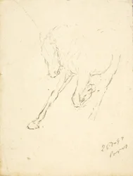 Hevonen