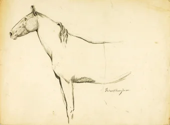 Hevonen