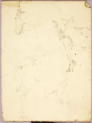 Hevoset