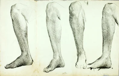 Anatomian opiskelu, #5