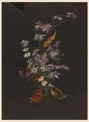 Syksyn kimppu, n. 1890