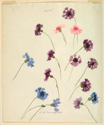Piirustus, Tutkimus: 1800-luvun lopulla