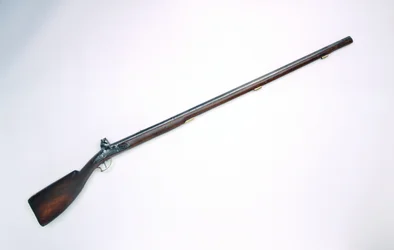 Bobbejaanbout (paviaani reisipeppu) musketti