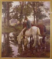 Juomapaikka