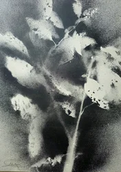 Yksivärinen kasvitutkielma