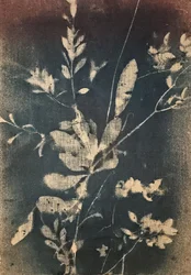Siniset kasviaiheet vintage-tyyliin