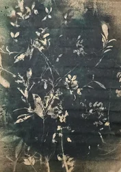 Kasvisiluetteja vintage-tyyliin