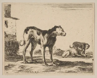 Levy 11: koirat, eri eläimistä Diversi animali, n. 1641.