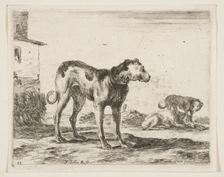 Levy 11: koirat, eri eläimistä Diversi animali, n. 1641.