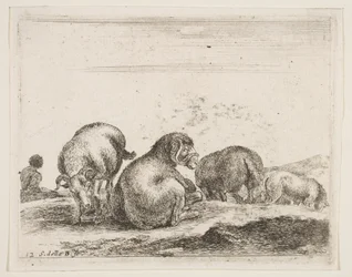 Levy 12: lampaat ja pässi laitumella, eri eläimistä Diversi animali, n. 1641.