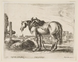 Levy 22: kärryhevonen, eri eläimistä Diversi animali, n. 1641.