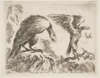Levy 2: kotka ja kotkanpoika, eri eläimistä Diversi animali, n. 1641.