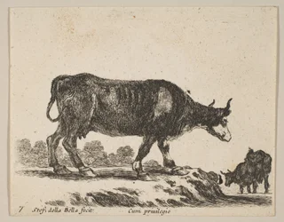 Levy 7: lehmä, eri eläimistä Diversi animali, n. 1641.