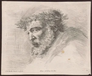 Tutkielma laakeriseppeleisen parrakkaan vanhuksen päästä, profiilissa vasemmalle kääntyneenä, sarjasta "Principii del disegno"