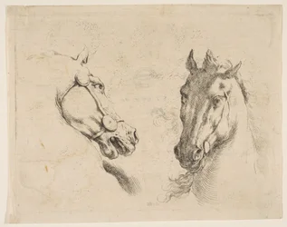 Kaksi hevospäätä, n. 1649.