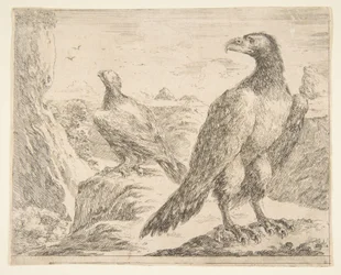 Kaksi kotkaa, Eagles Les aigles, n. 1651.