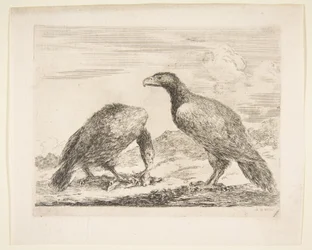 Kaksi kotkaa, joista toinen syö karitsan, Eagles Les aiglesilta, n. 1651.
