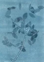 Keskiyön puutarha I, 2015