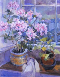 Vaaleanpunainen geranium ikkunapenkillä, 1996,