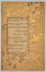 Valaistu folio (jae) elokuvasta A Gulistan (Rose Garden) of Sa