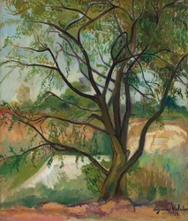 Puu, 1912.