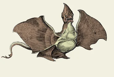 Fantastinen merihirviö, kuvitus Conrad Gesnerin teoksesta "History of Animals" (värinen lito)