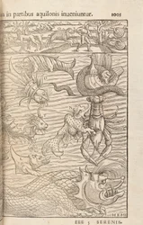 Sivu 1005, Cosmographiae Universalis, Sebastian Muenster, Basel, 1572