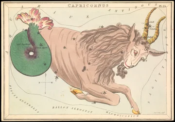 Capricornus, n.1825 (kortti, paperi, kudos )