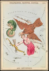 Delphinus, Sagitta, Aquila ja Antinous, n.1825 (kortti, paperi, kudos).