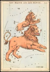 Leo Major ja Leo Minor, n.1825 (kortti, paperi, kudos )