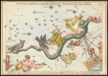 Noctua, Corvus, Crater, Sextans Uraniae, Hydra, Felis, Lupus, Centaurus, Antilia Pnuematica, Argo Navis ja Pysix Nautica, n.1825 (kortti, paperi, kudos).
