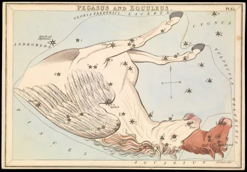 Pegasus ja Equuleus, n.1825 (kortti, paperi, kudos).