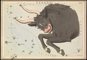 Härkä, n.1825 (kortti, paperi, kudos )
