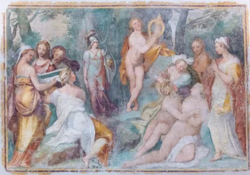 Parnassus