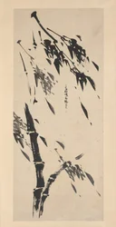 Bambu tuulessa.