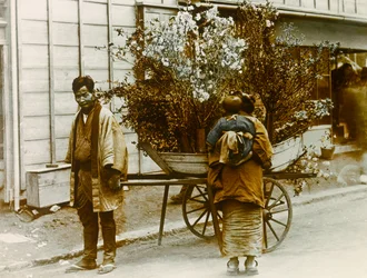 Kiertävä kukkamyyjä Tokion kaduilla, noin 1900 - 1915 (valokuva).