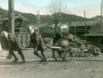 Japanilaisia talonpoikia vetämässä riisisäkkejä kärryissä, noin 1900 - 1915 (valokuva).