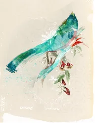 Bird Silhouette, 2017 (Colagem sobre tela) finlandês