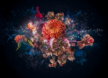 Collage de rams, 2017 (foto)finlandès
