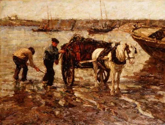 Merilevän kerääminen