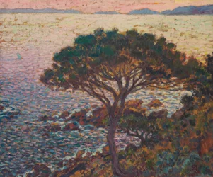 Cap Bénat, mänty rannikolla