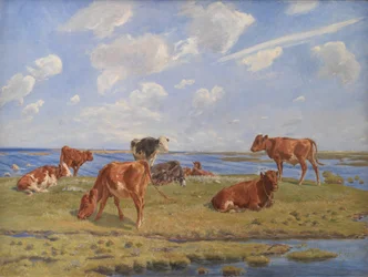 Vasikat rannalla