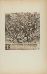 Crudelitas Petride Calyce Erga Indos. III. (kirjasta Americae, neljäs osa)